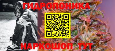 2c-b Гатчина