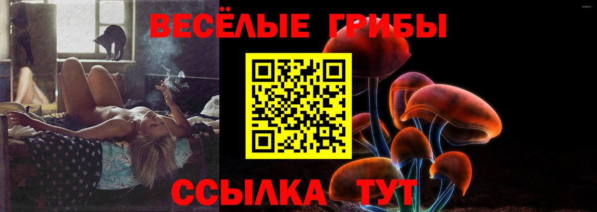 Псилоцибиновые грибы мухоморы  Вход с VPN  Сокол 